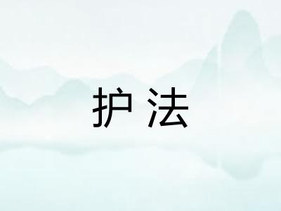 护法 护法