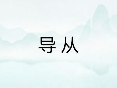 导从 导从