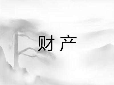 财产 财产