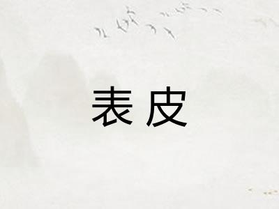 表皮