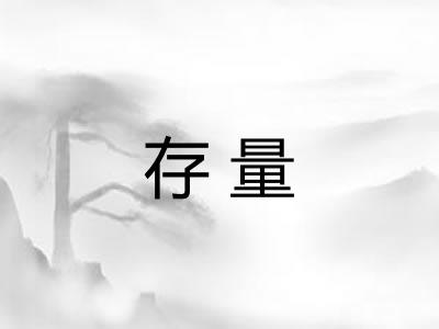 存量 存量