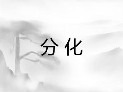 分化 分化