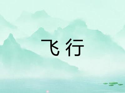飞行 飞行