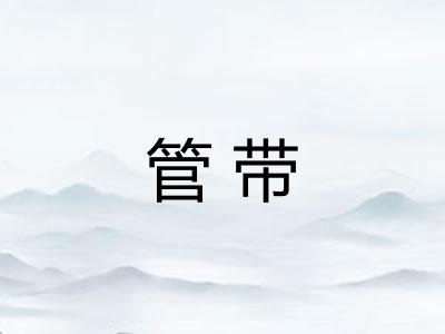 管带 管带