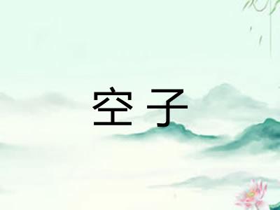 空子 空子