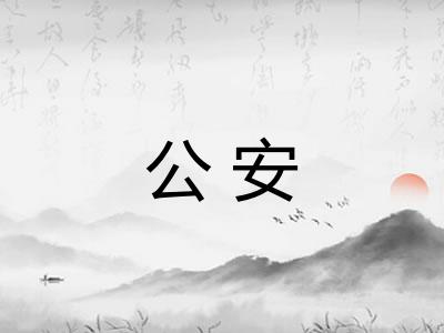 公安 公安