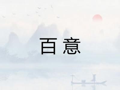 百意 百意
