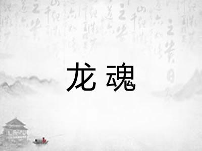 龙魂 龙魂
