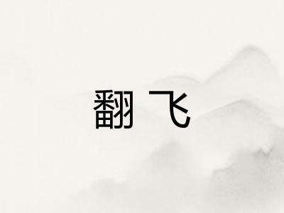 翻飞 翻飞
