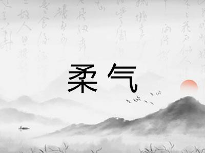 柔气