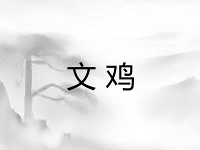 文鸡 文鸡