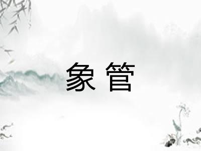 象管 象管