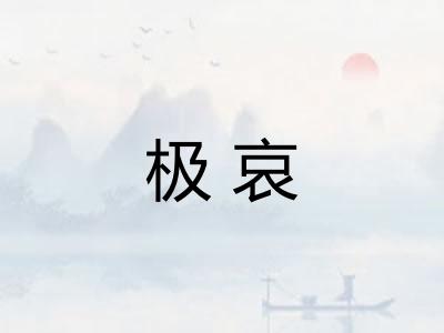 极哀 极哀