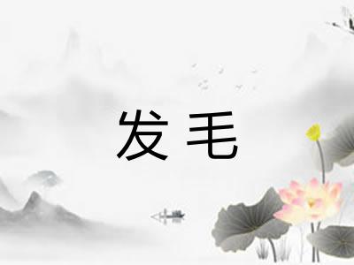 发毛 发毛