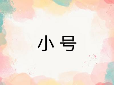 小号 小号