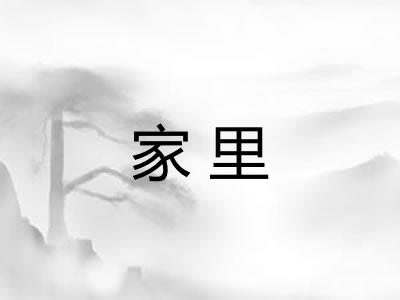 家里 家里