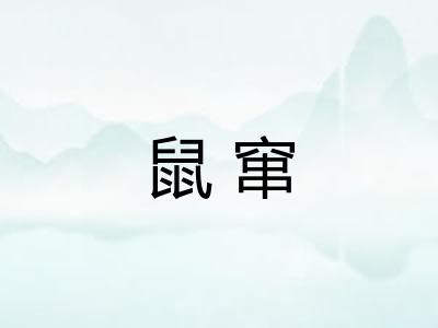 鼠窜 鼠窜