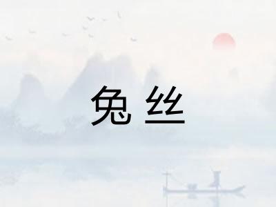 兔丝 兔丝