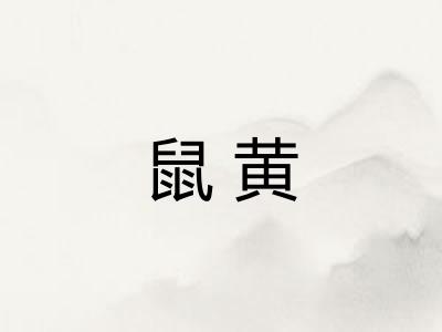鼠黄