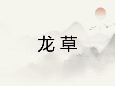 龙草