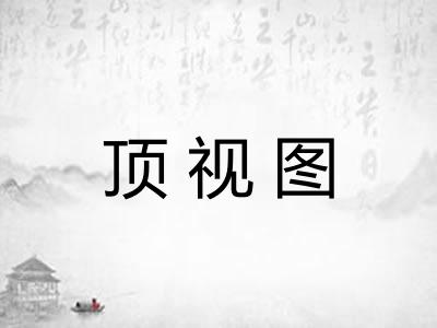 顶视图 顶视图