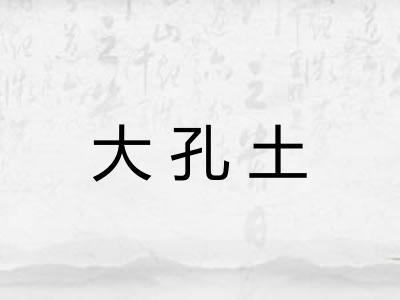 大孔土 大孔土