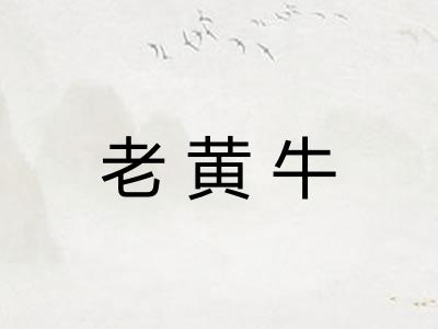 老黄牛 老黄牛