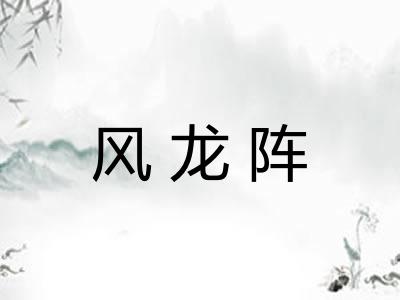 风龙阵