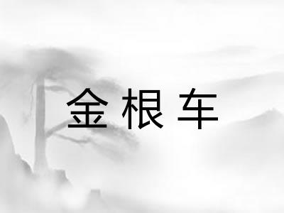 金根车 金根车