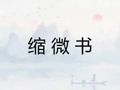 缩微书 缩微书