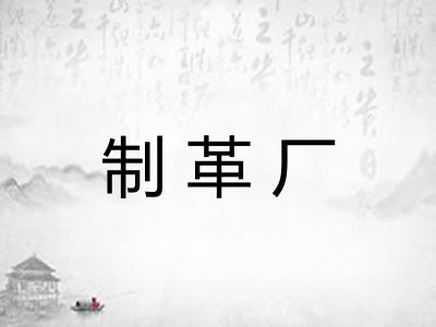 制革厂 制革厂