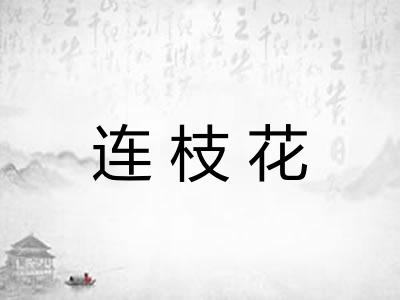 连枝花 连枝花