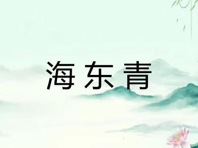 海东青 海东青
