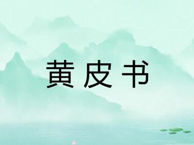 黄皮书 黄皮书