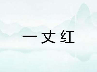 一丈红 一丈红
