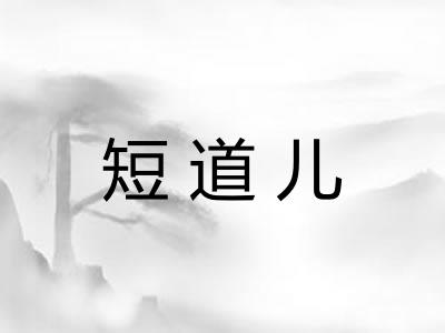 短道儿 短道儿