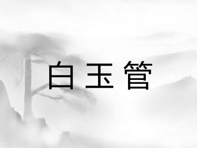 白玉管 白玉管