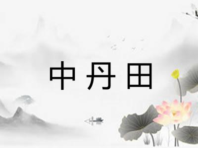 中丹田 中丹田