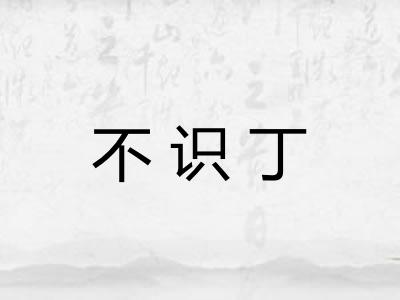 不识丁 不识丁