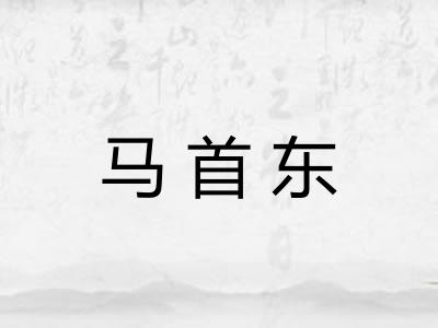 马首东