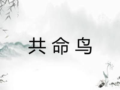 共命鸟 共命鸟
