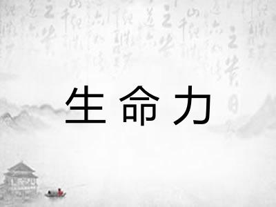 生命力 生命力