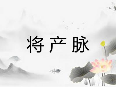 将产脉 将产脉