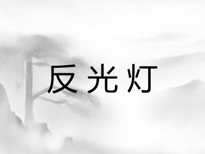 反光灯 反光灯