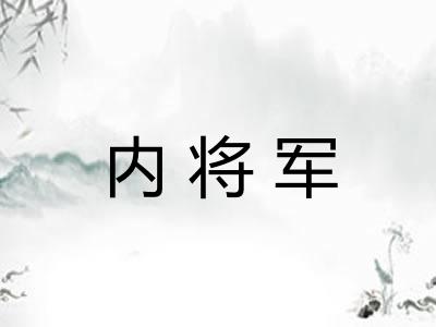 内将军