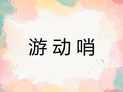 游动哨 游动哨