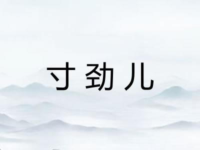 寸劲儿 寸劲儿
