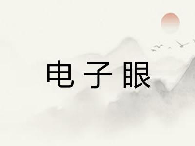 电子眼 电子眼
