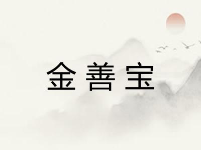 金善宝 金善宝
