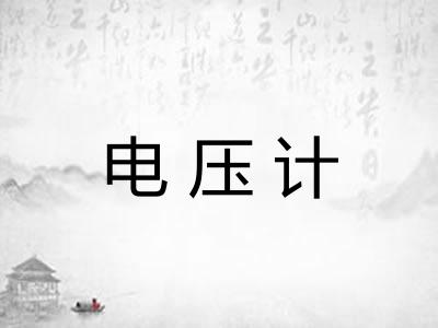 电压计